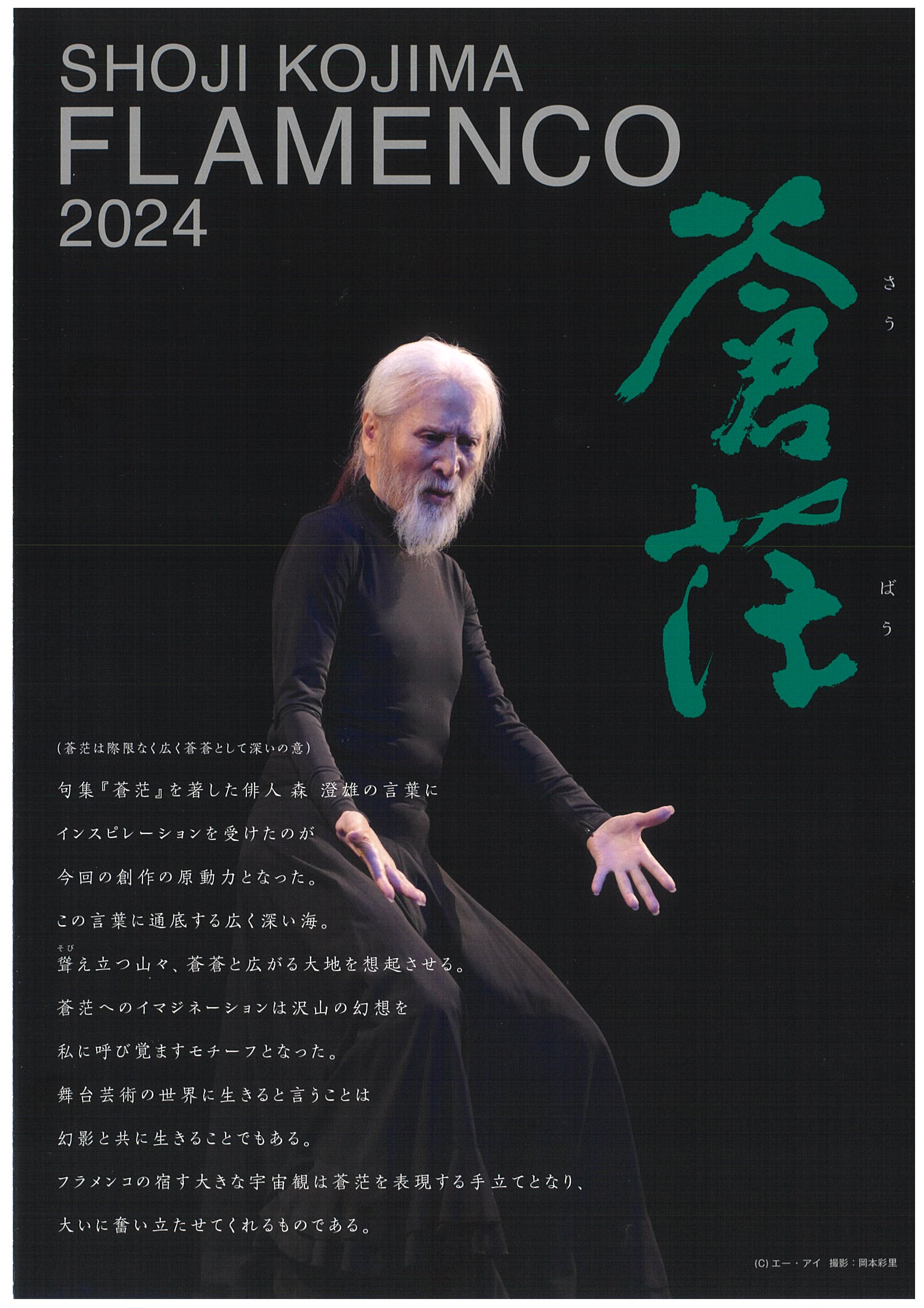 SHOJI　KOJIMA　FLAMENCO　2024    　 蒼茫